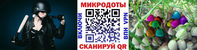Купить  Каргат  Галлюциногенные грибы Psilocybine cubensis 
